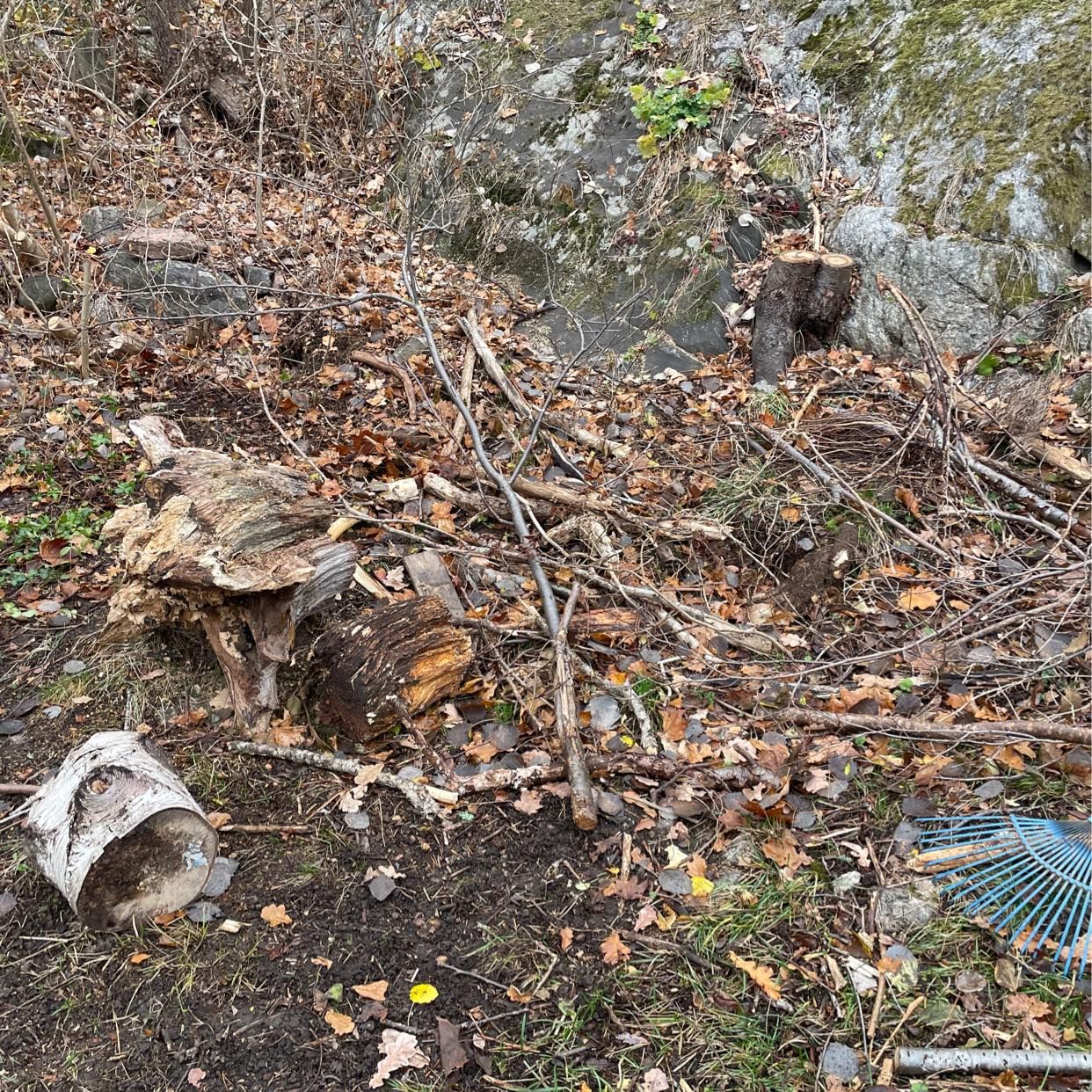 image of Trädgårdsavfall till tipp - Älvsjö