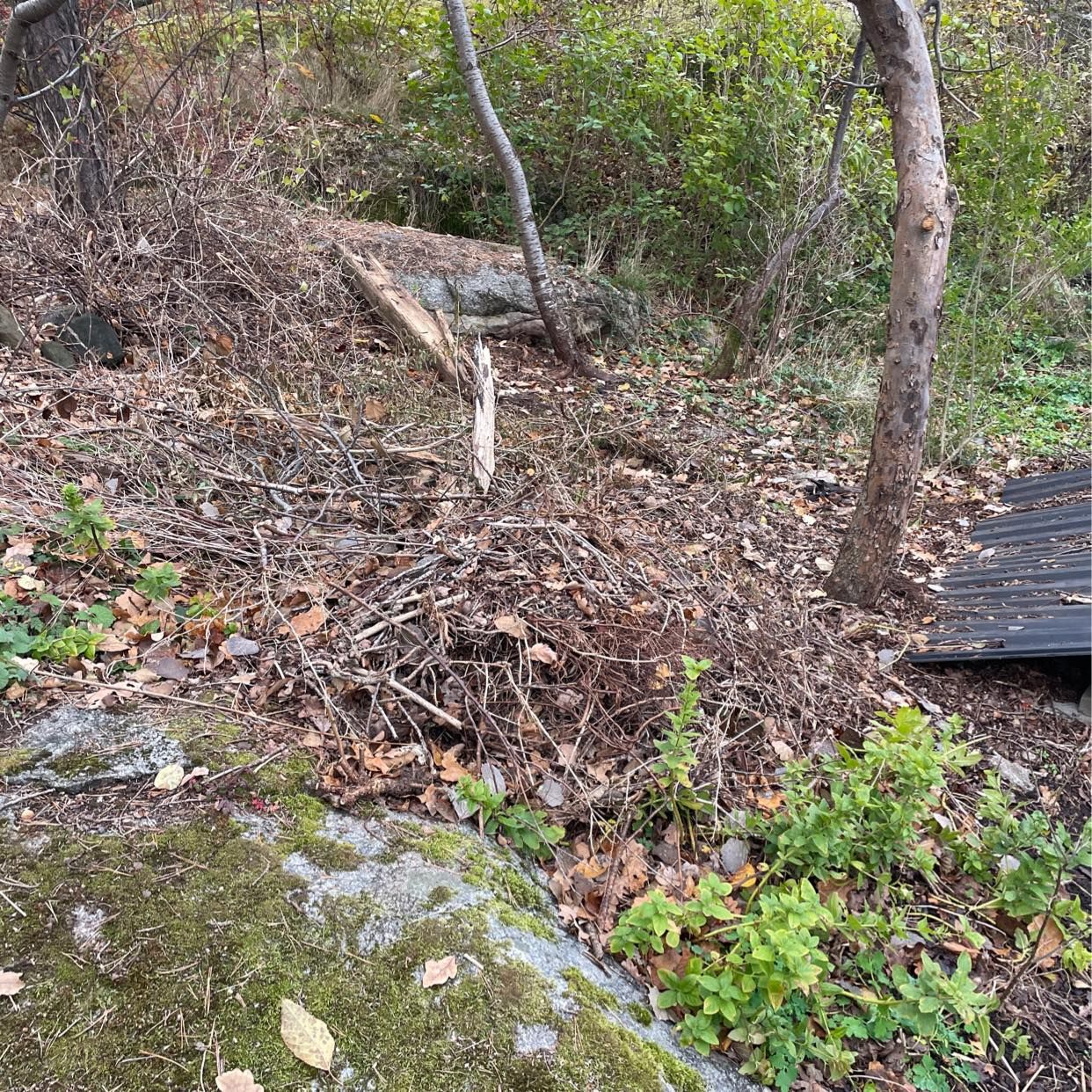 image of Trädgårdsavfall till tipp - Älvsjö