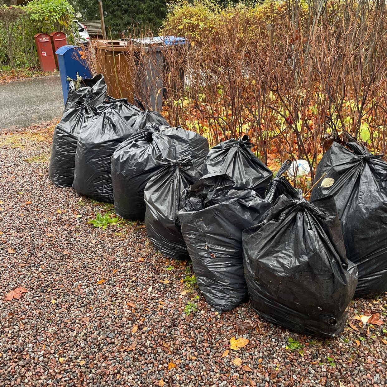 image of 13 bags of leaves - Enebyberg