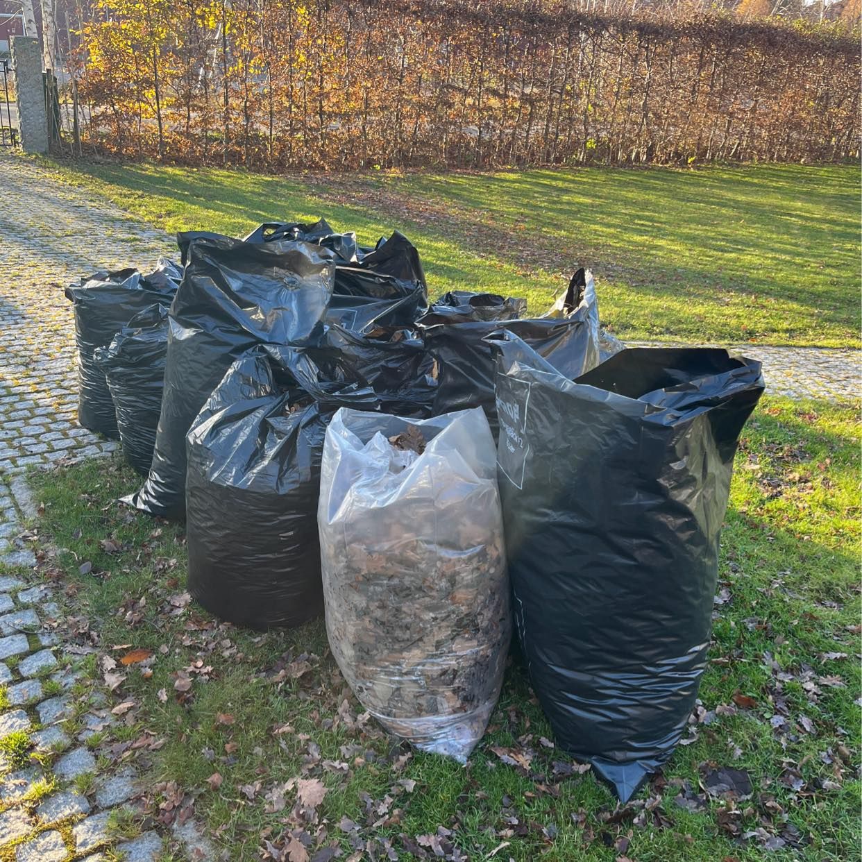 image of Lövsäckar - Djursholm
