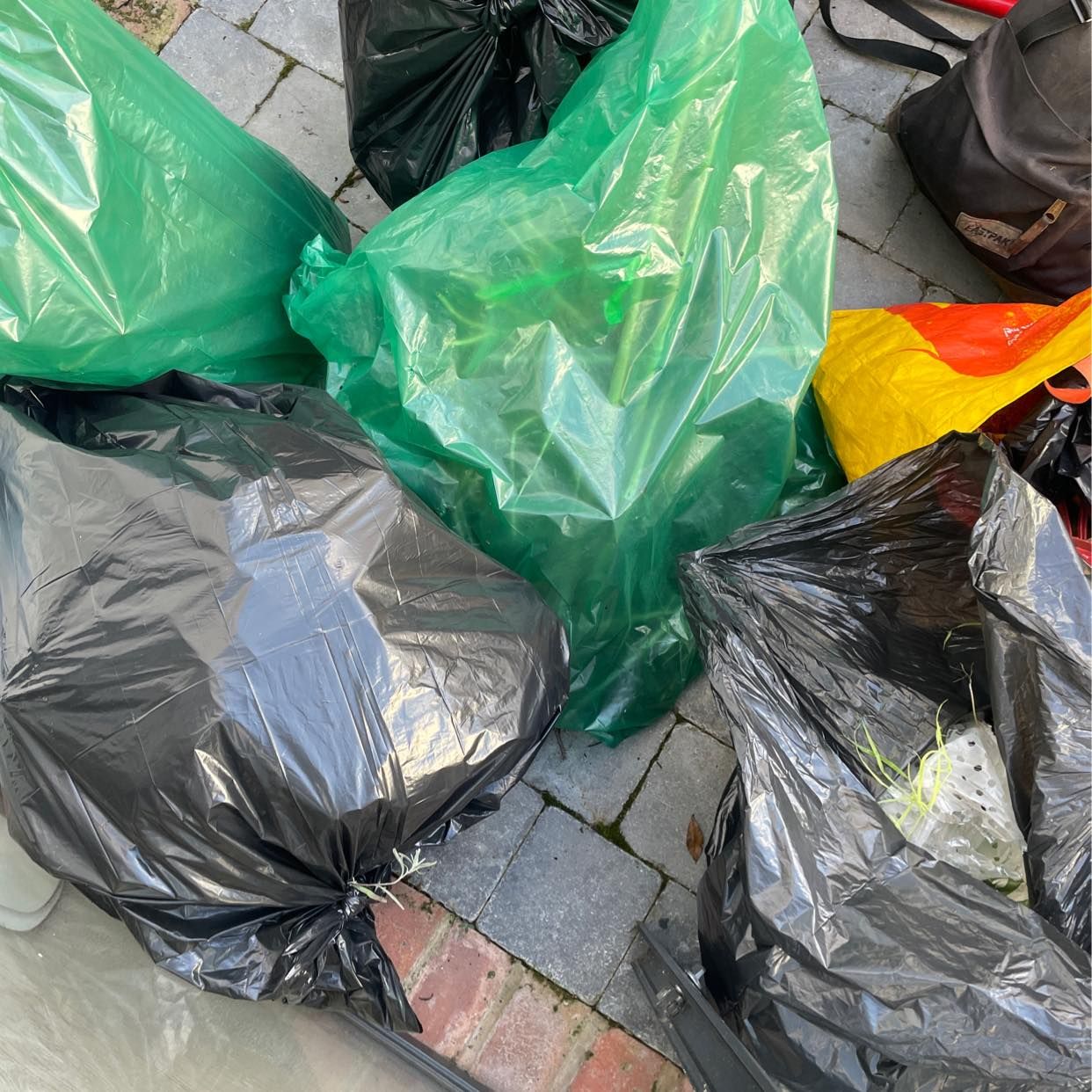 image of Removal of garden waste - London