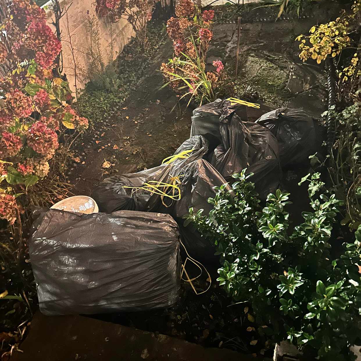 image of Miscallenous Waste - London
