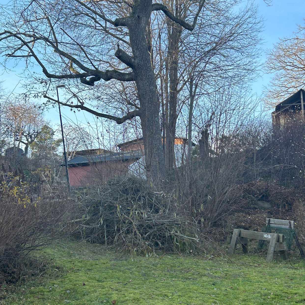 image of Ris och grenar - Nacka
