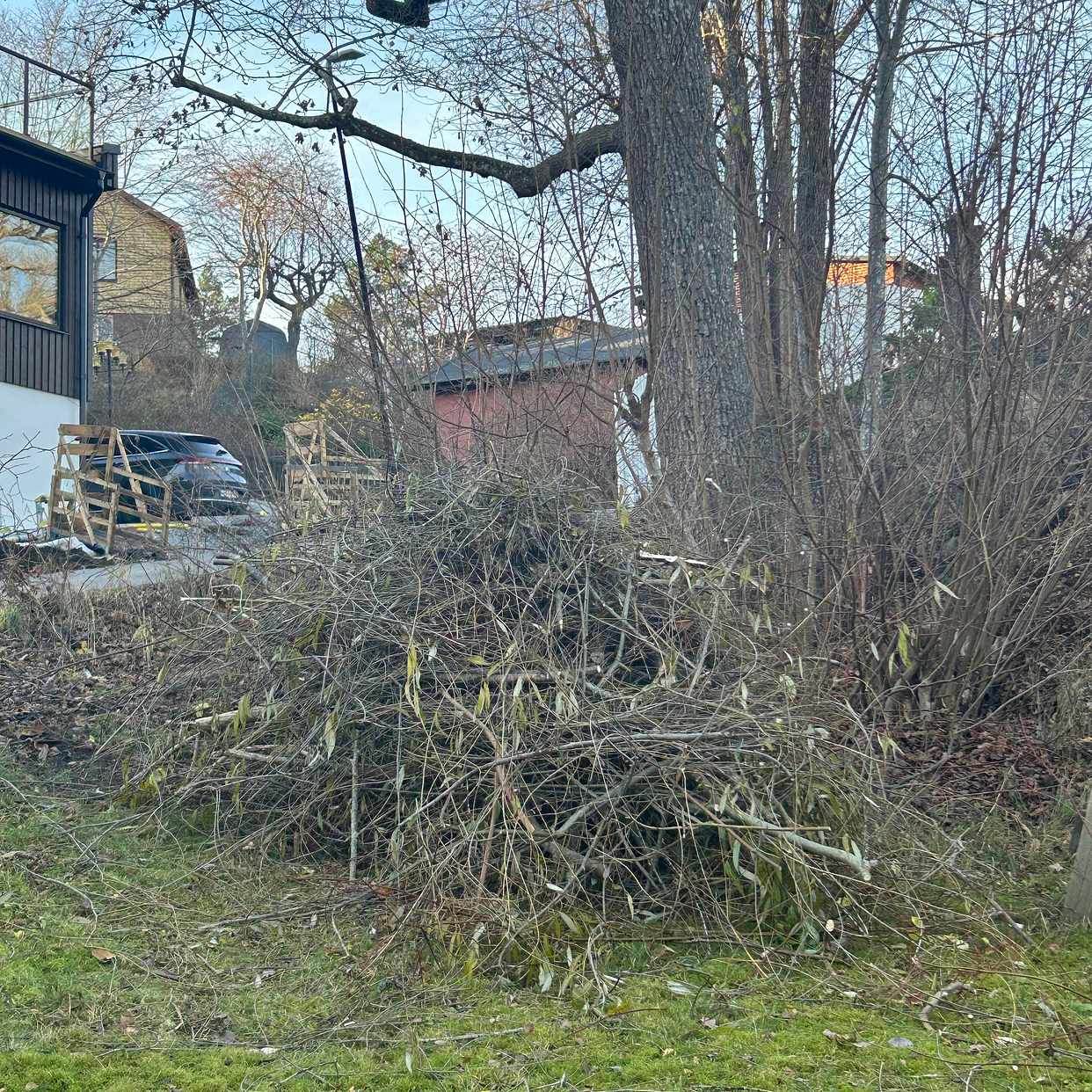 image of Ris och grenar - Nacka