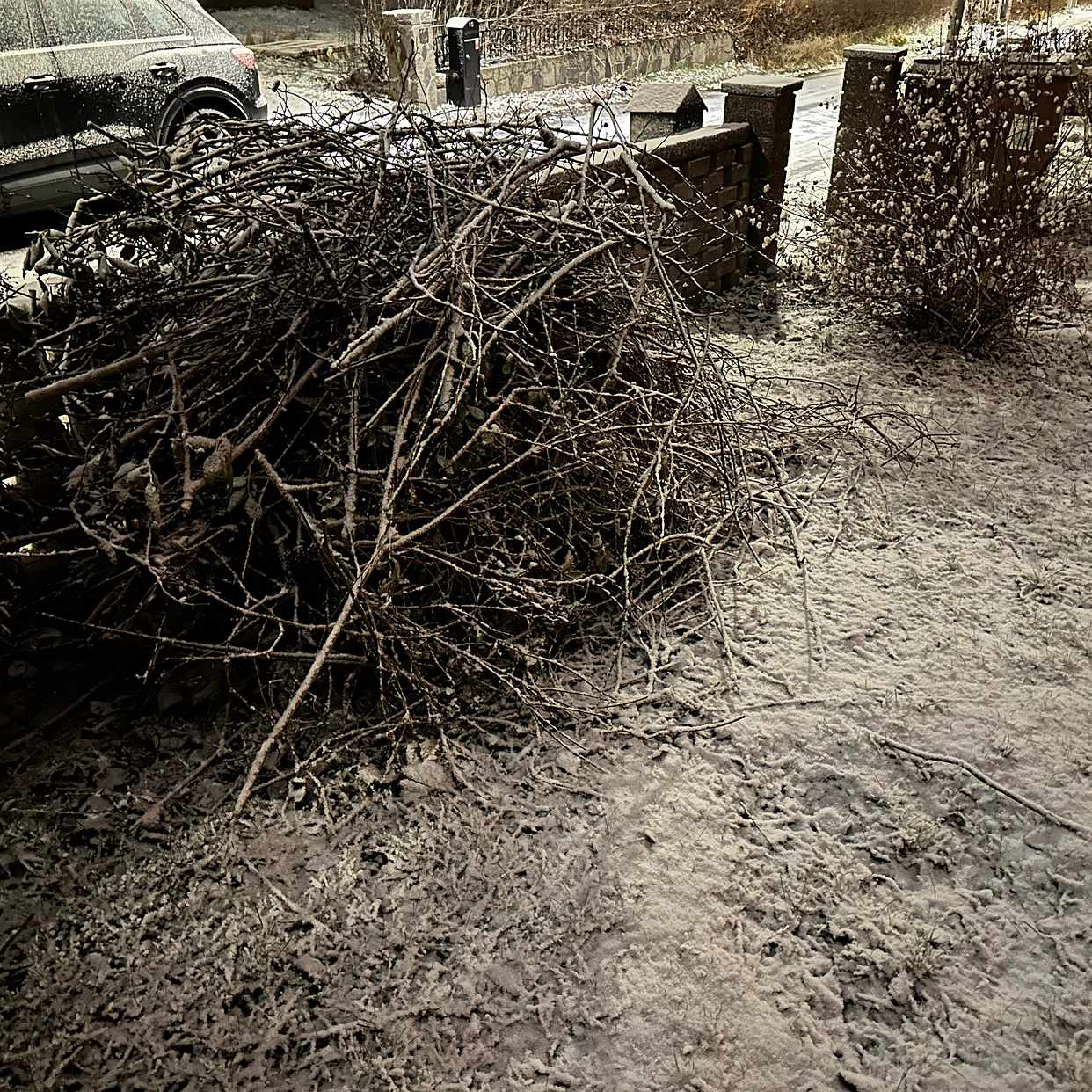 image of Garden waste, branches - Enskede-Årsta-Vantör