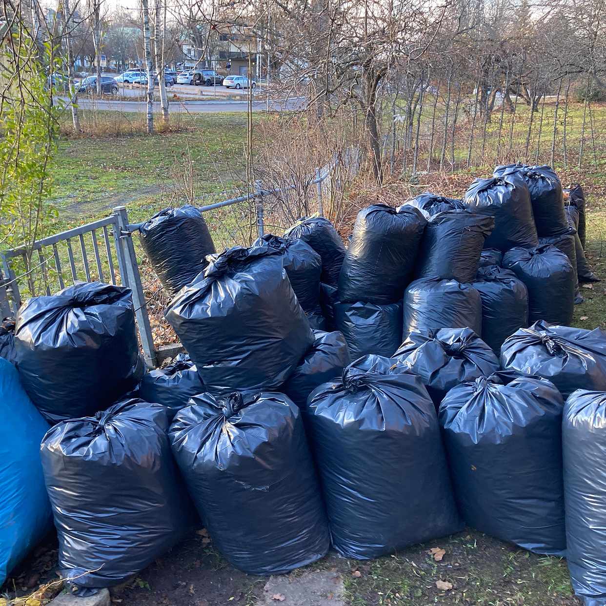 image of Ca 55 säckar med löv - Djursholm