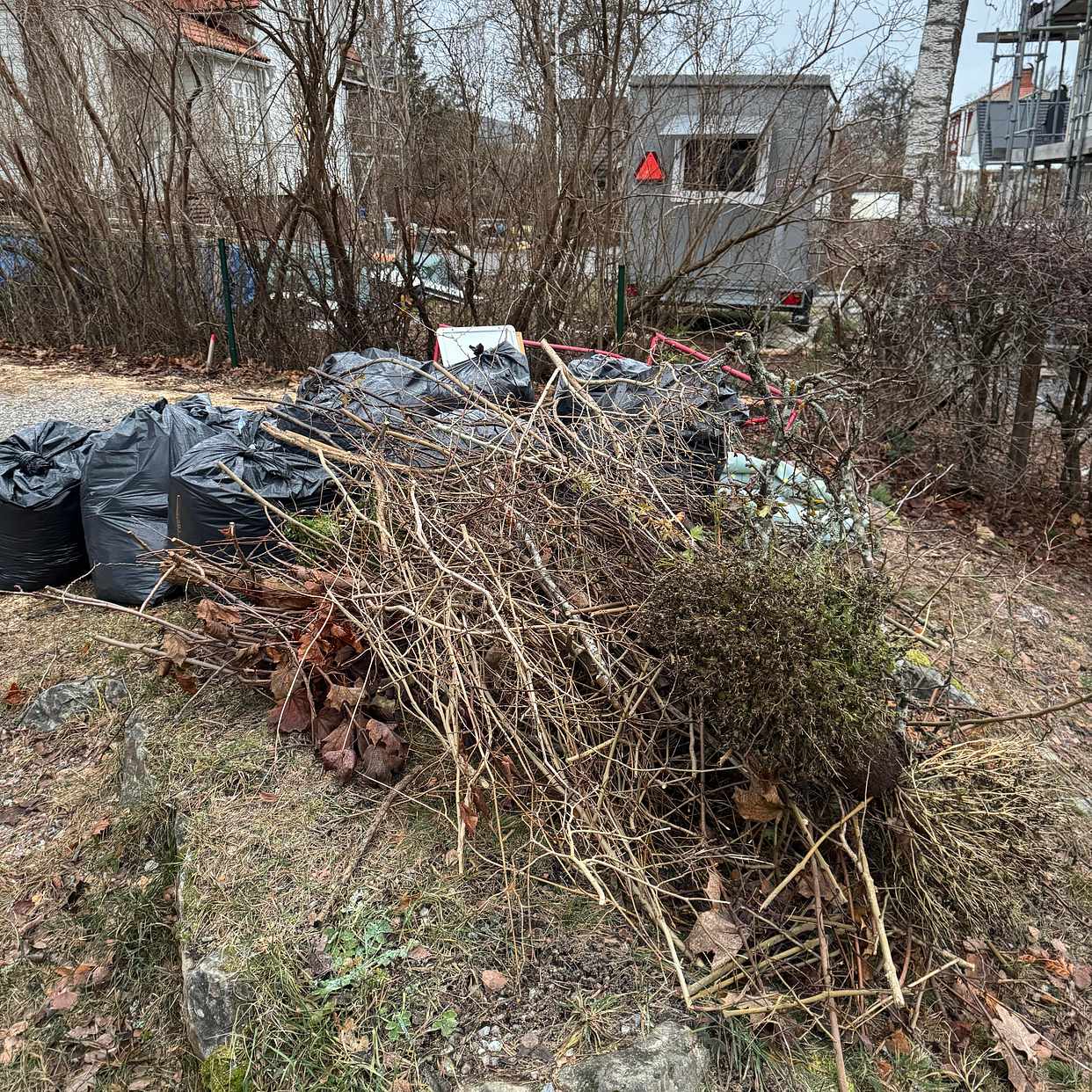 image of Lövsäckar, kvistar, - Hägersten