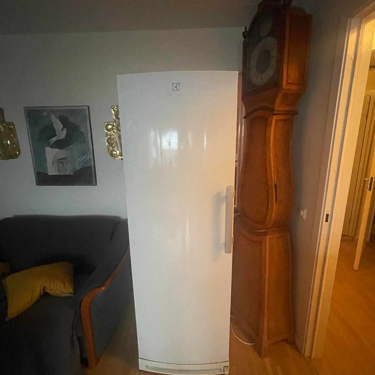 image of Flytt av frysskåp - 