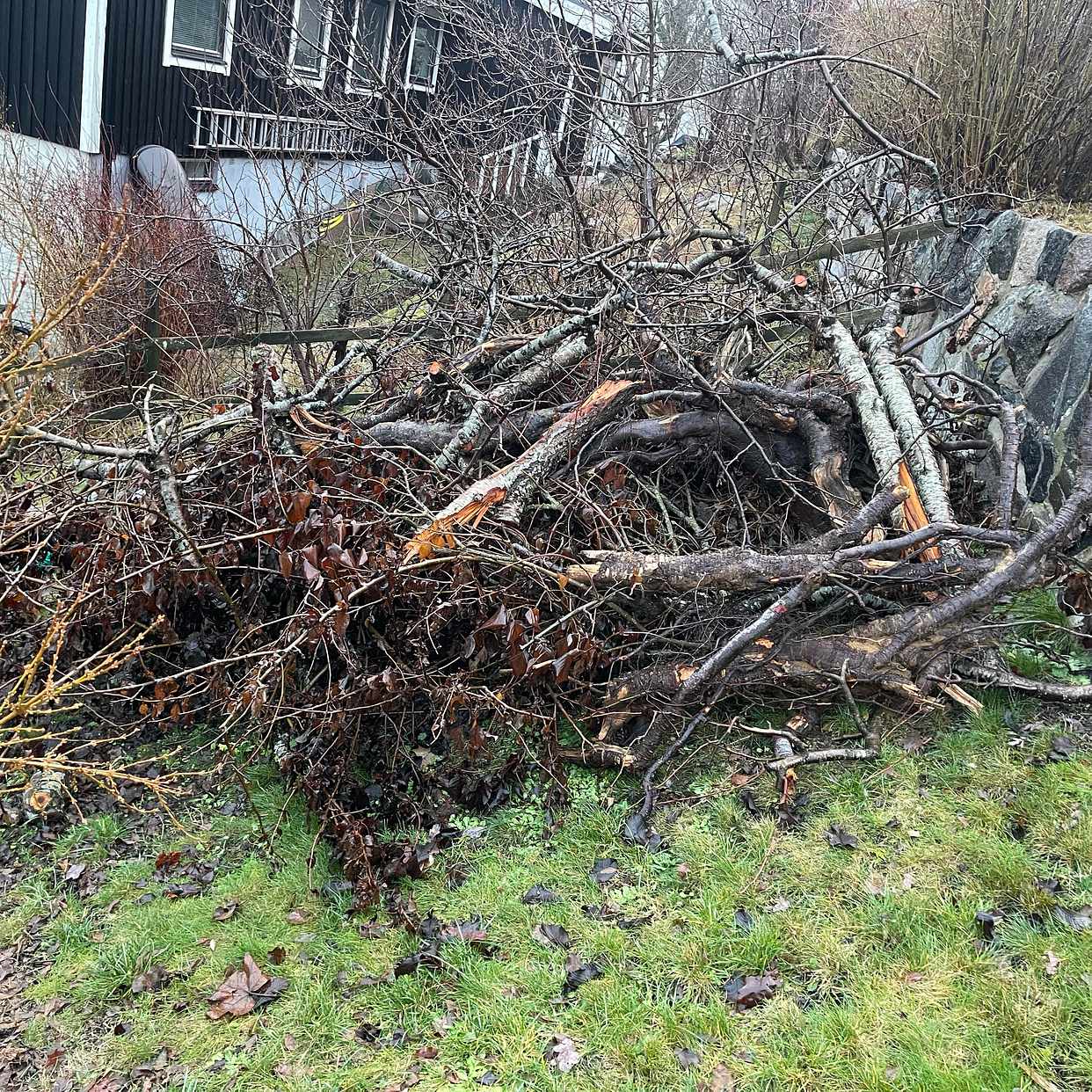 image of Remove garden waste - Lidingö