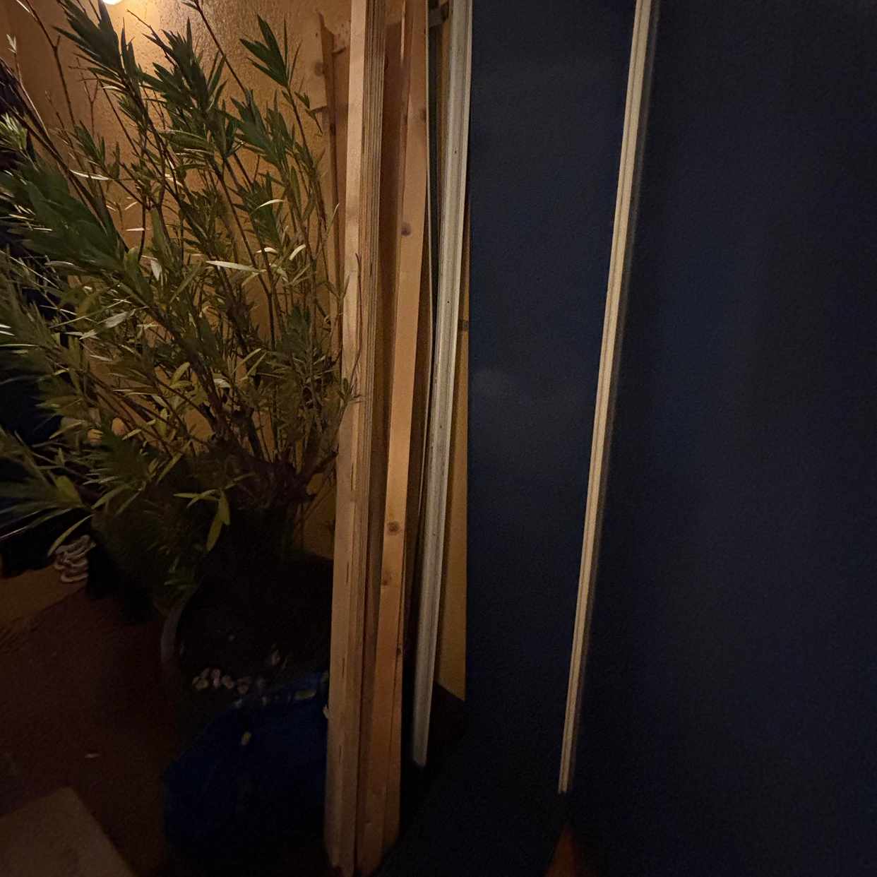 image of wooden planks, cardboard - Berlin