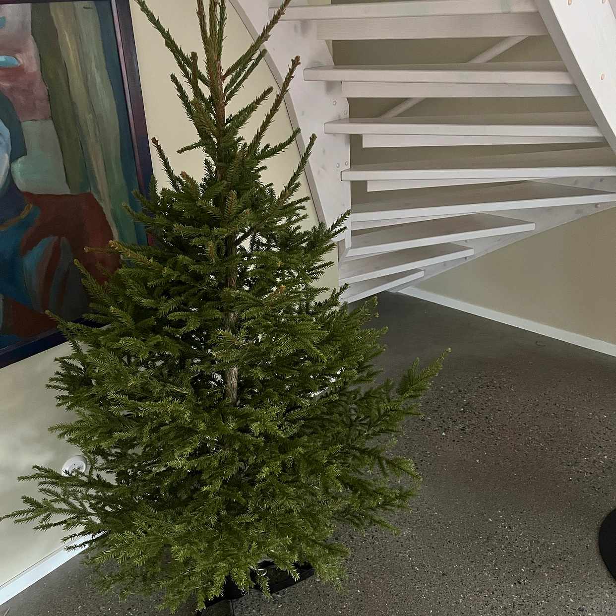 image of Upphämtning av liten gran - Västerås