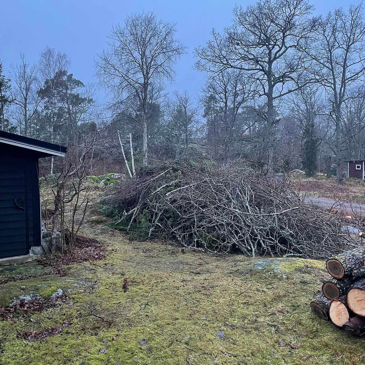 image of Bortforsling av grenar - Värmdö