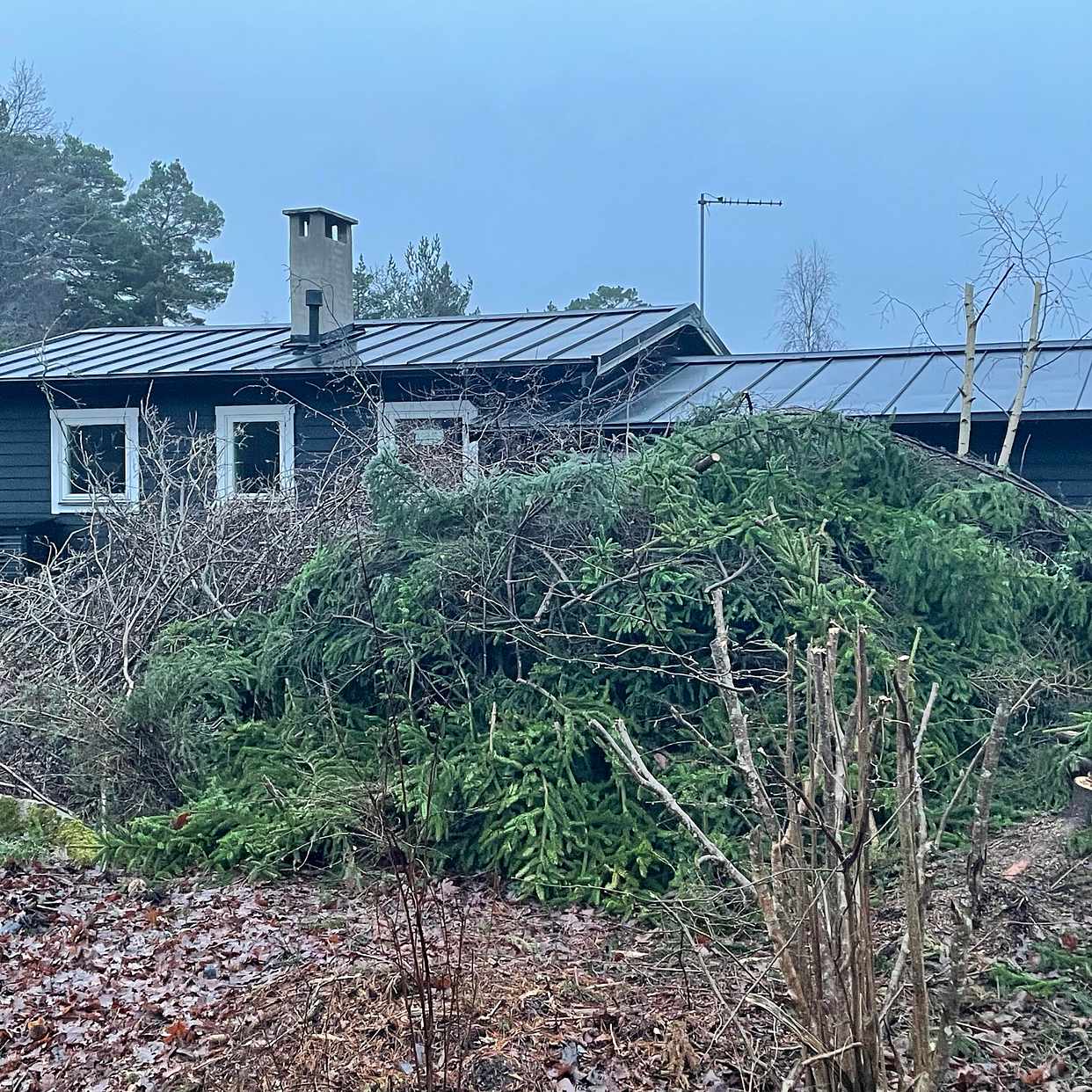 image of Bortforsling av grenar - Värmdö