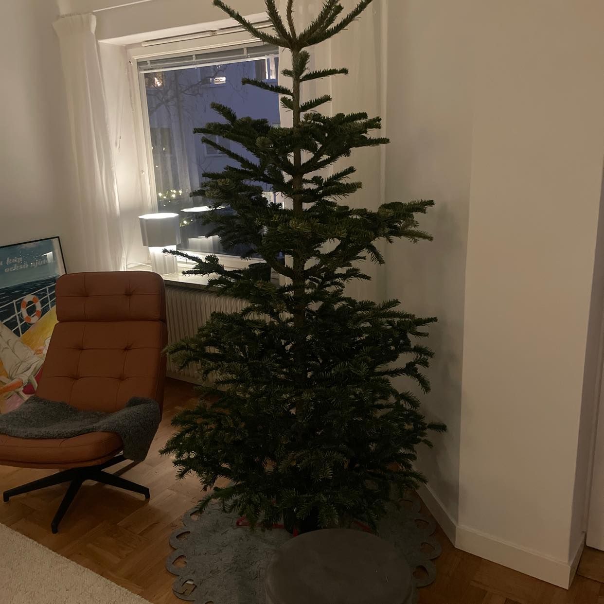 image of Forsla bort julgran - Östermalm