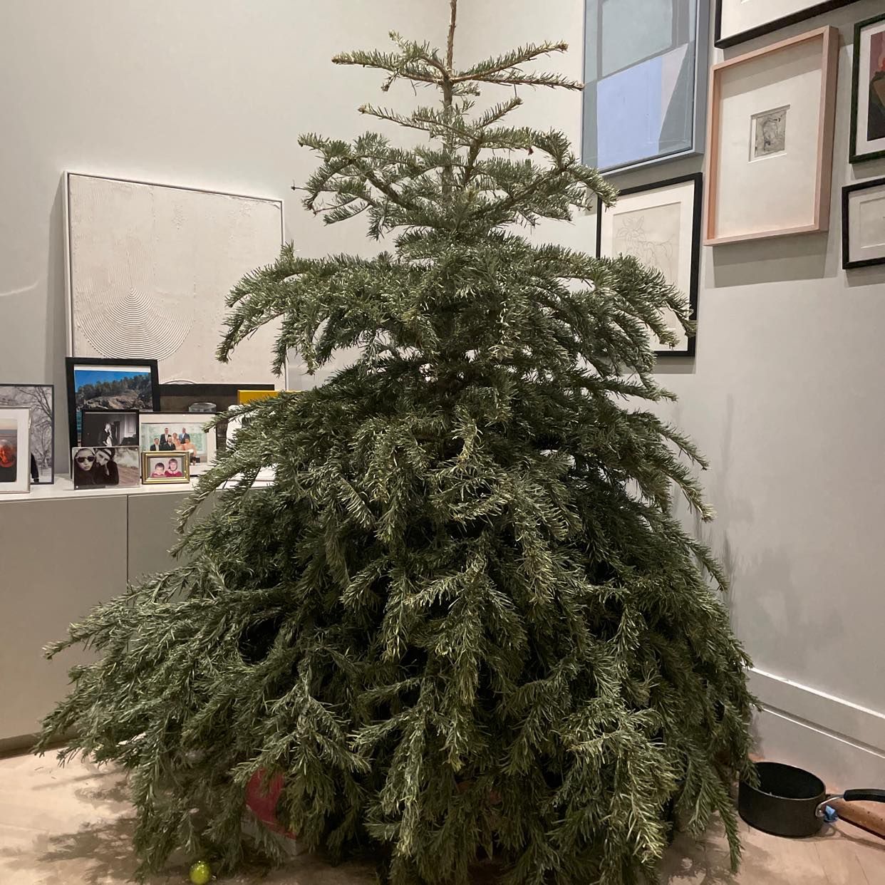 image of Removal of Christmas Tree - London