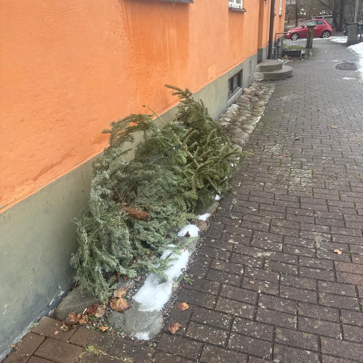 image of Slänga julgran - Bromma