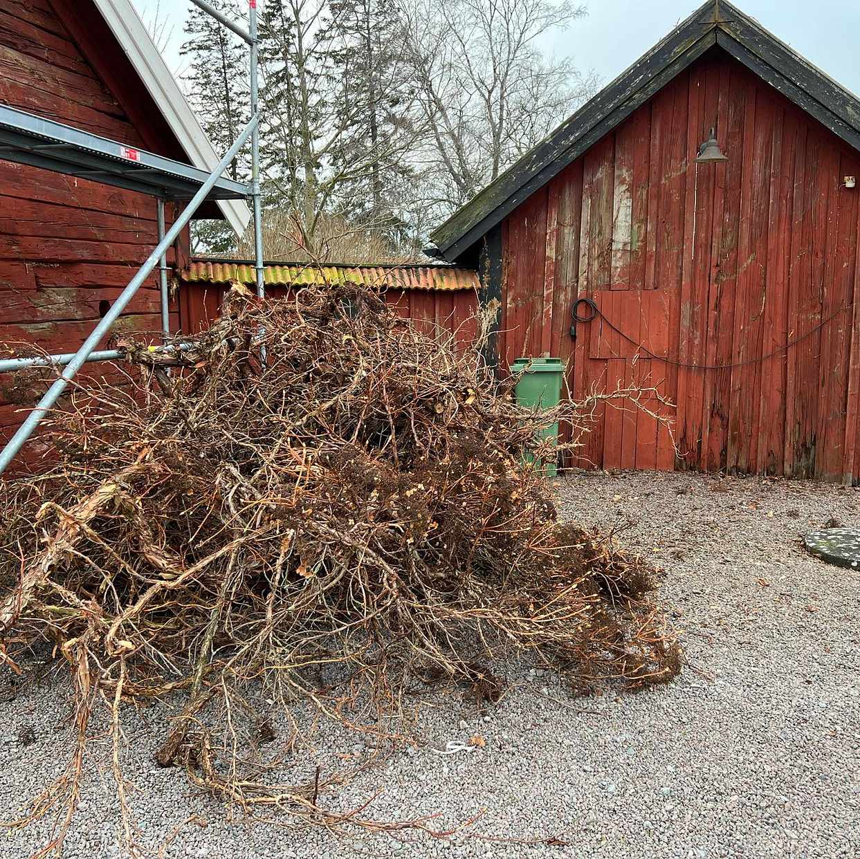 image of Gamla nedklippta buskar - Älgsjö