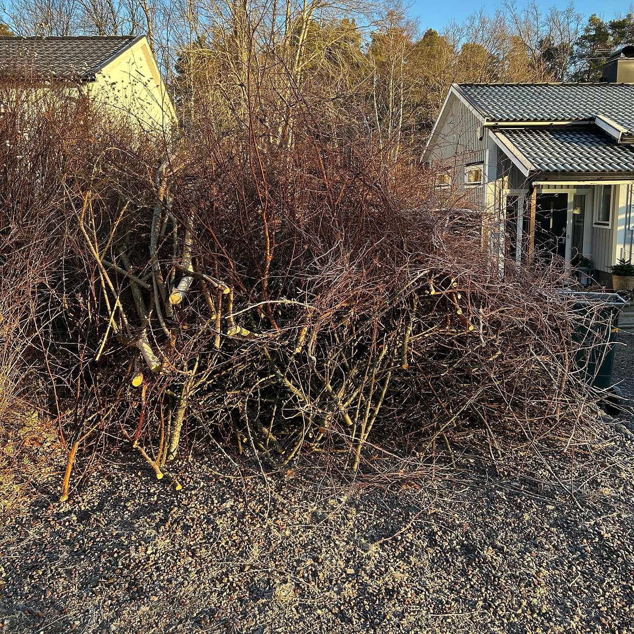 image of Grenar och ris - Nacka