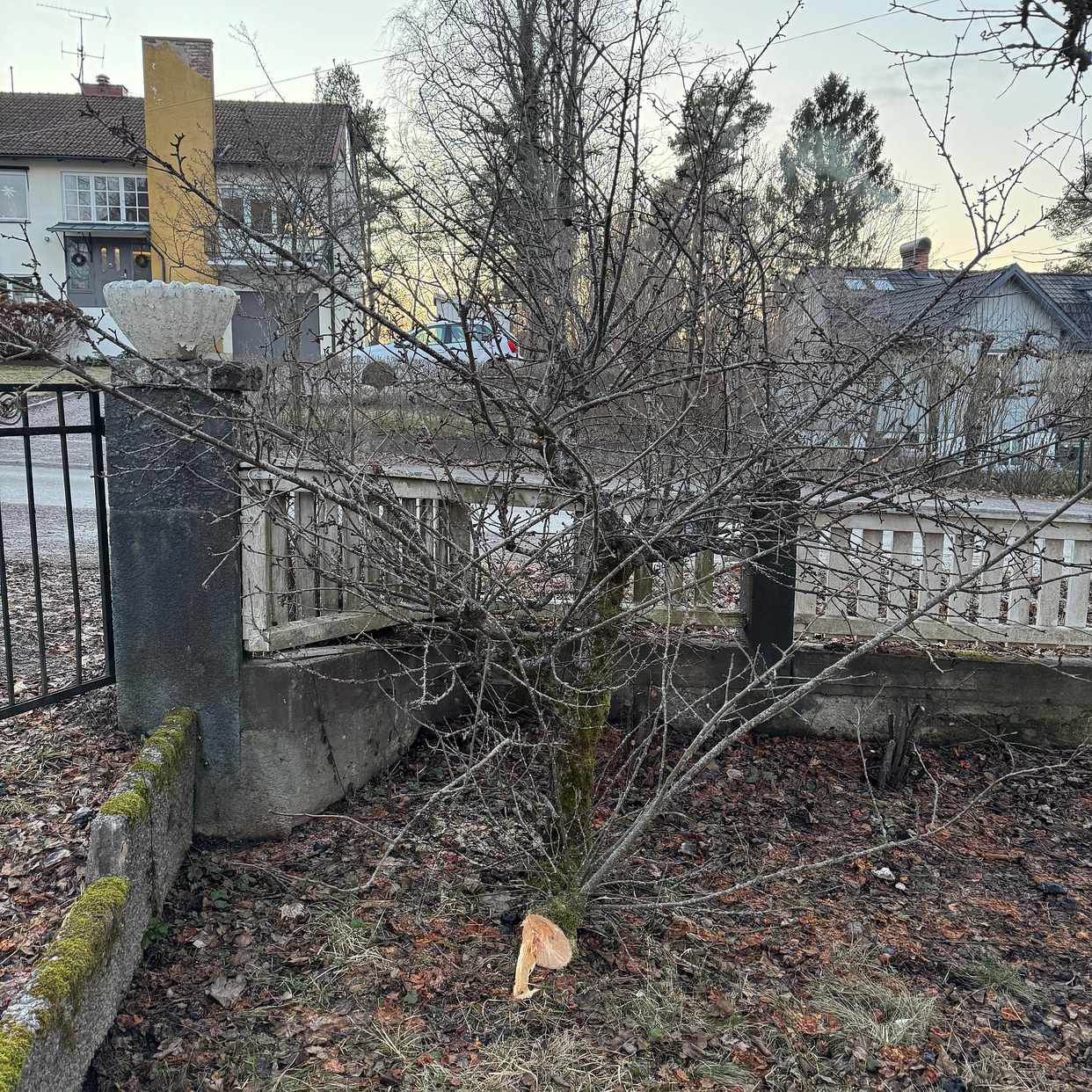 image of Yard Waste - Danderyd