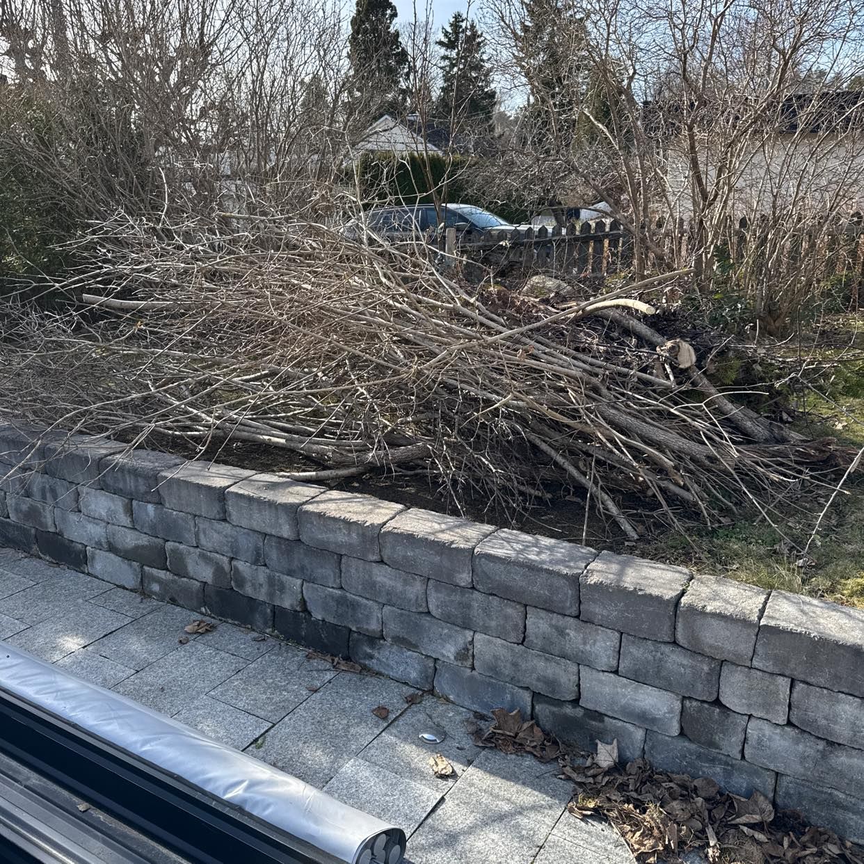 image of Grenar från  och lite löv - Täby