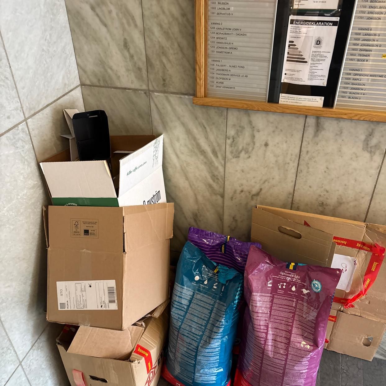 image of Cardboard  dog  products - Stockholm