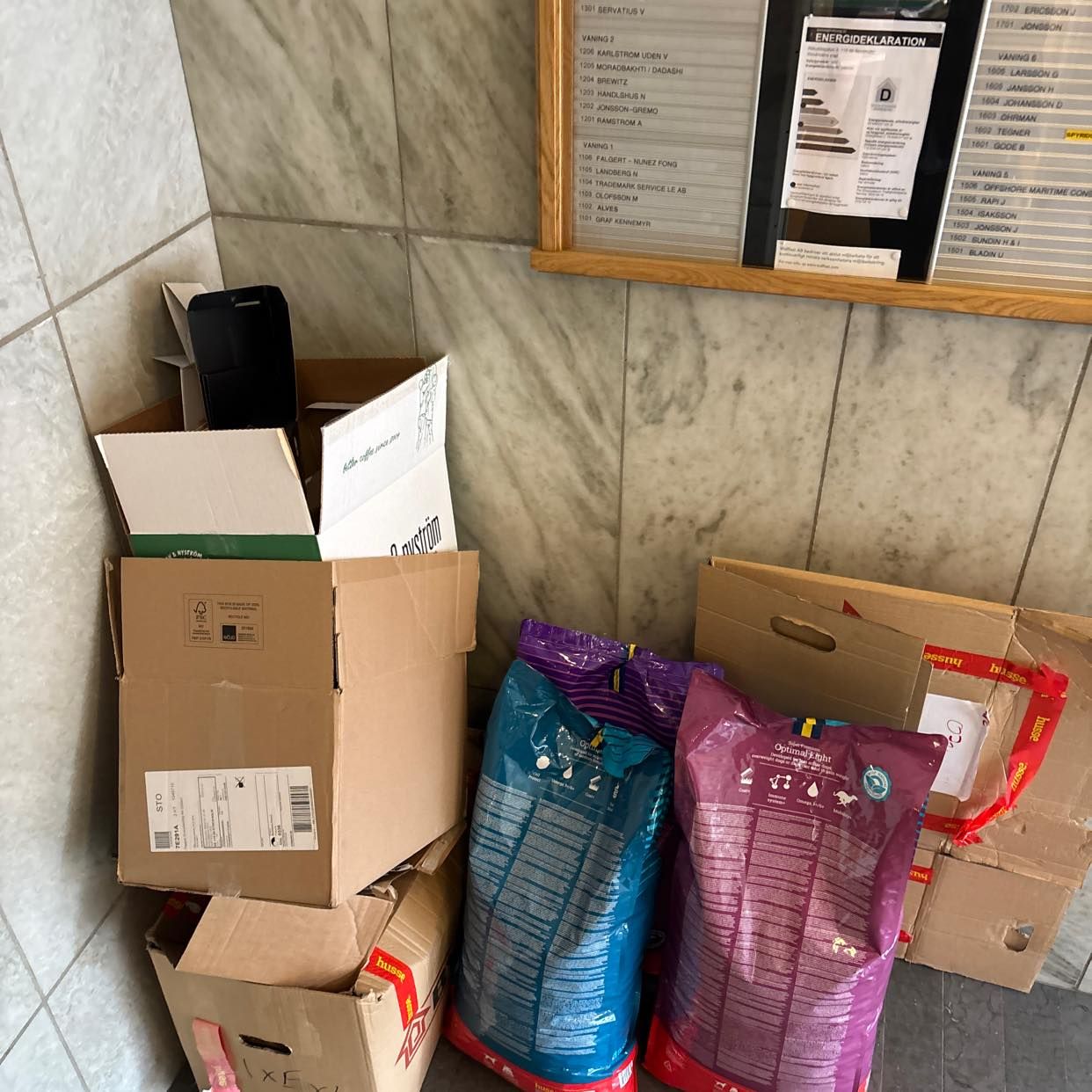 image of Cardboard  dog  products - Stockholm