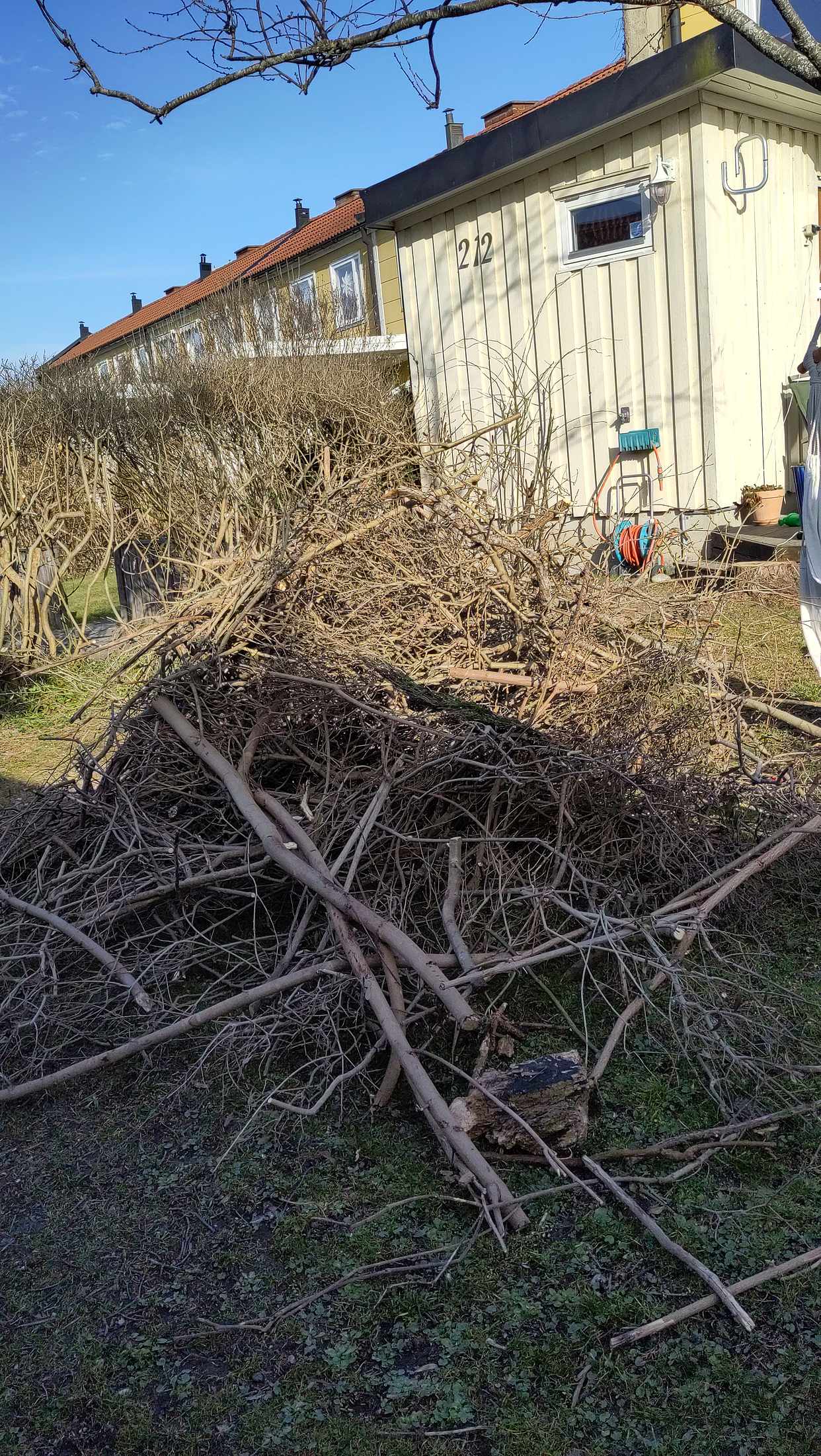 image of Pile of branches - Vällingby