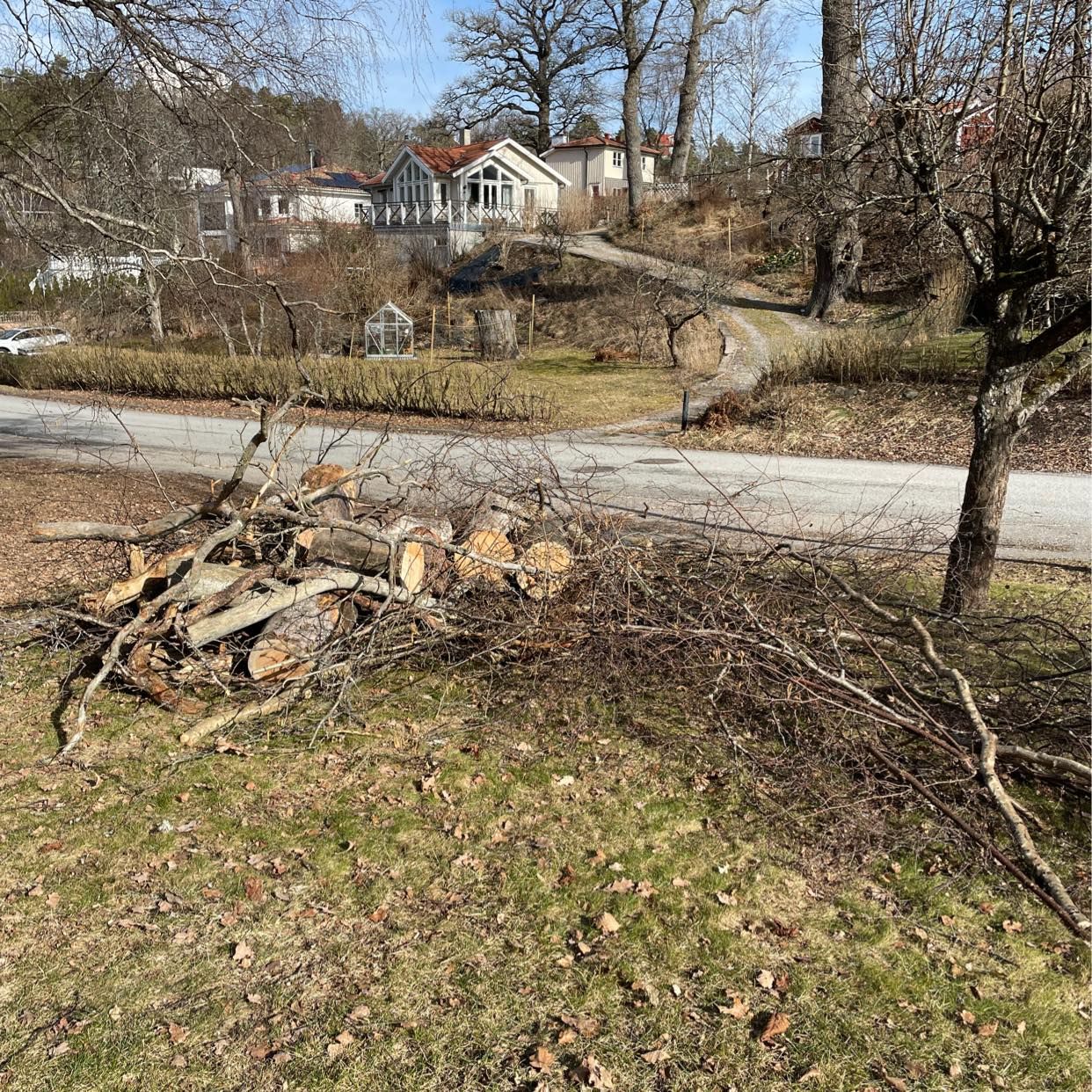 image of Ta bort grenar, stubbar - Sollentuna