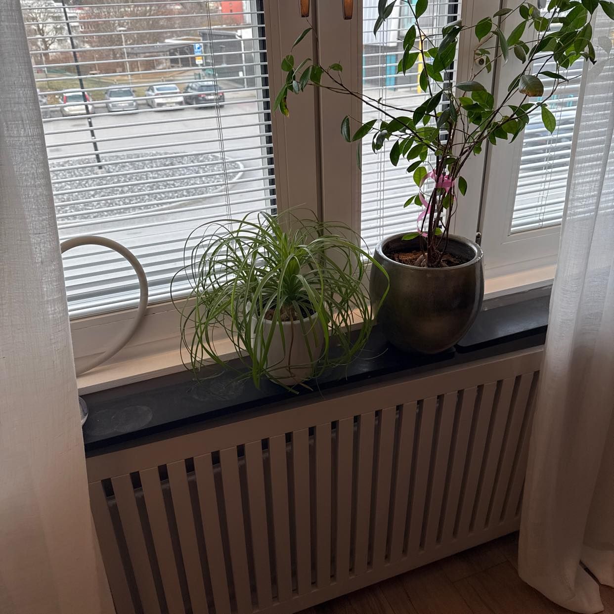 image of Wood Panels and Shutters - Sollentuna