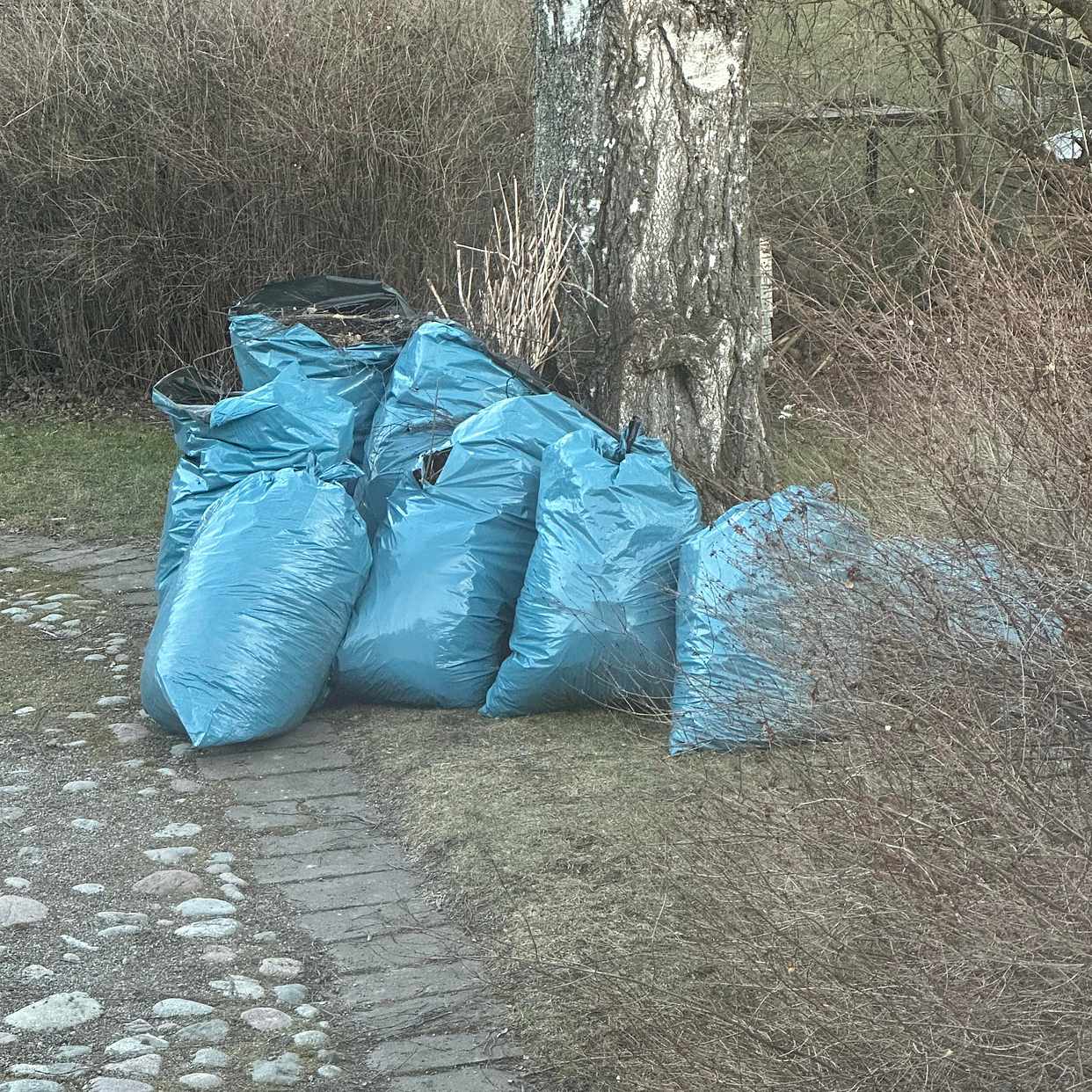 image of Säckar me trädgårdsavfall - Djursholm
