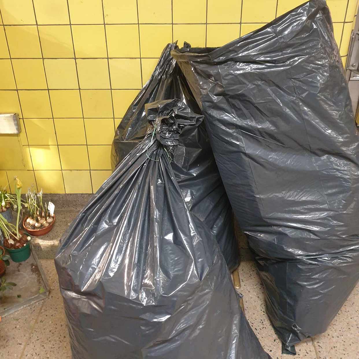 image of Blommor plast kartong - Stockholm