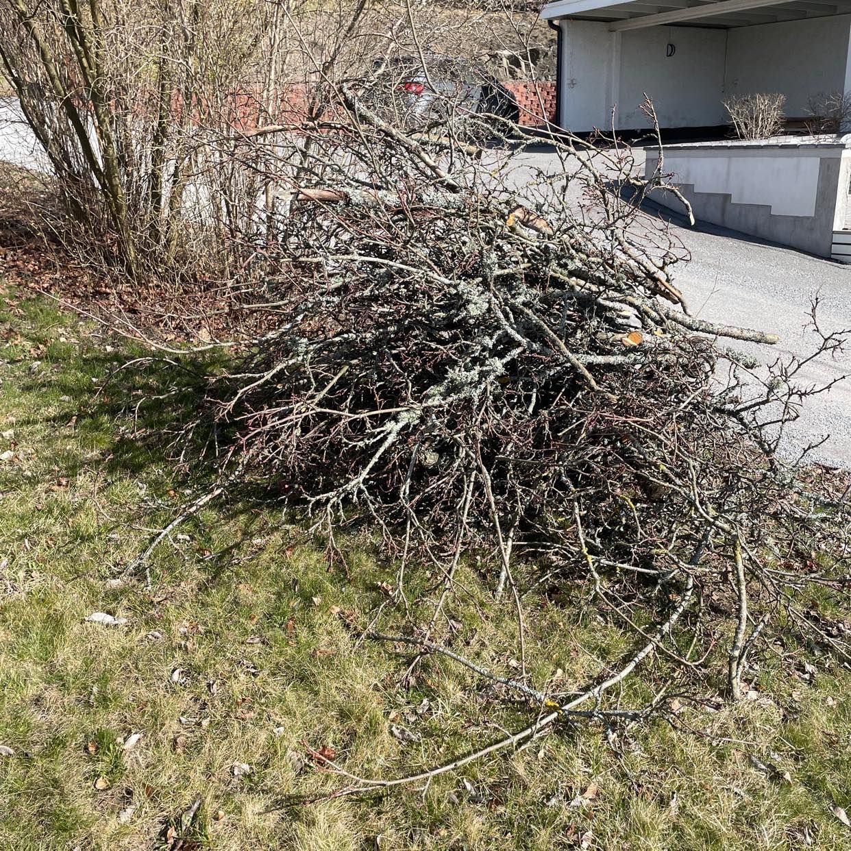 image of Köra bort grenar. - Huddinge