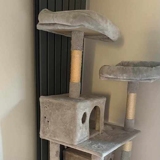 image of CAT TREE - Dartford