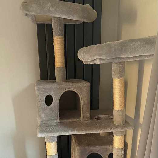 image of CAT TREE - Dartford