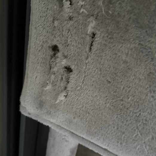 image of CAT TREE - Dartford
