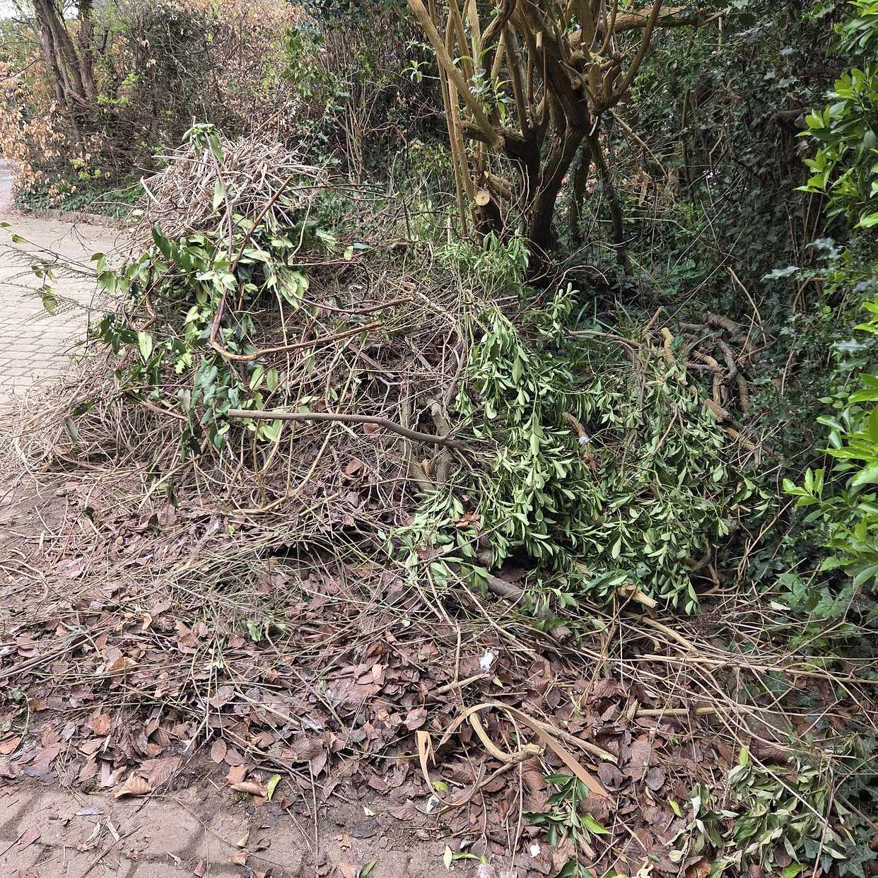 image of Garden waste as seen - Guildford