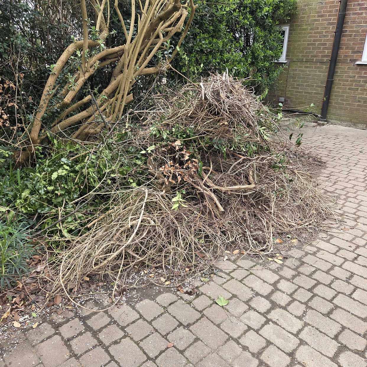 image of Garden waste as seen - Guildford