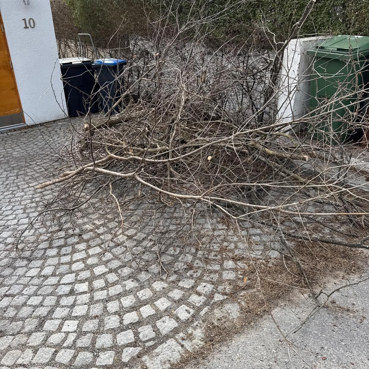 image of Ris och buskar borttransp - Lidingö