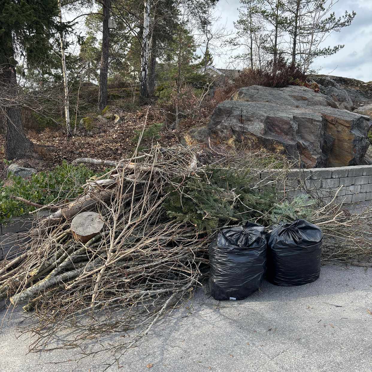 image of Grenar, kvistar, löv, - Trångsund