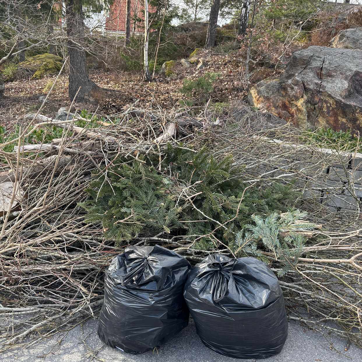 image of Grenar, kvistar, löv, - Trångsund