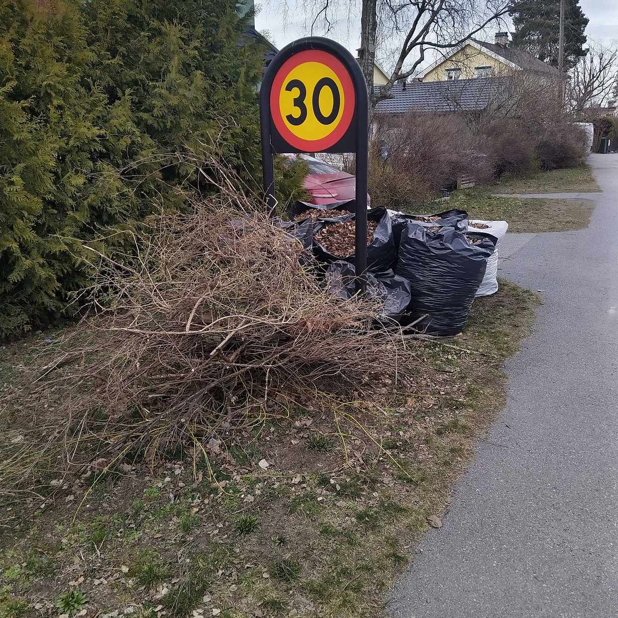 image of 10 sopsäckar med löv + en - Lidingö