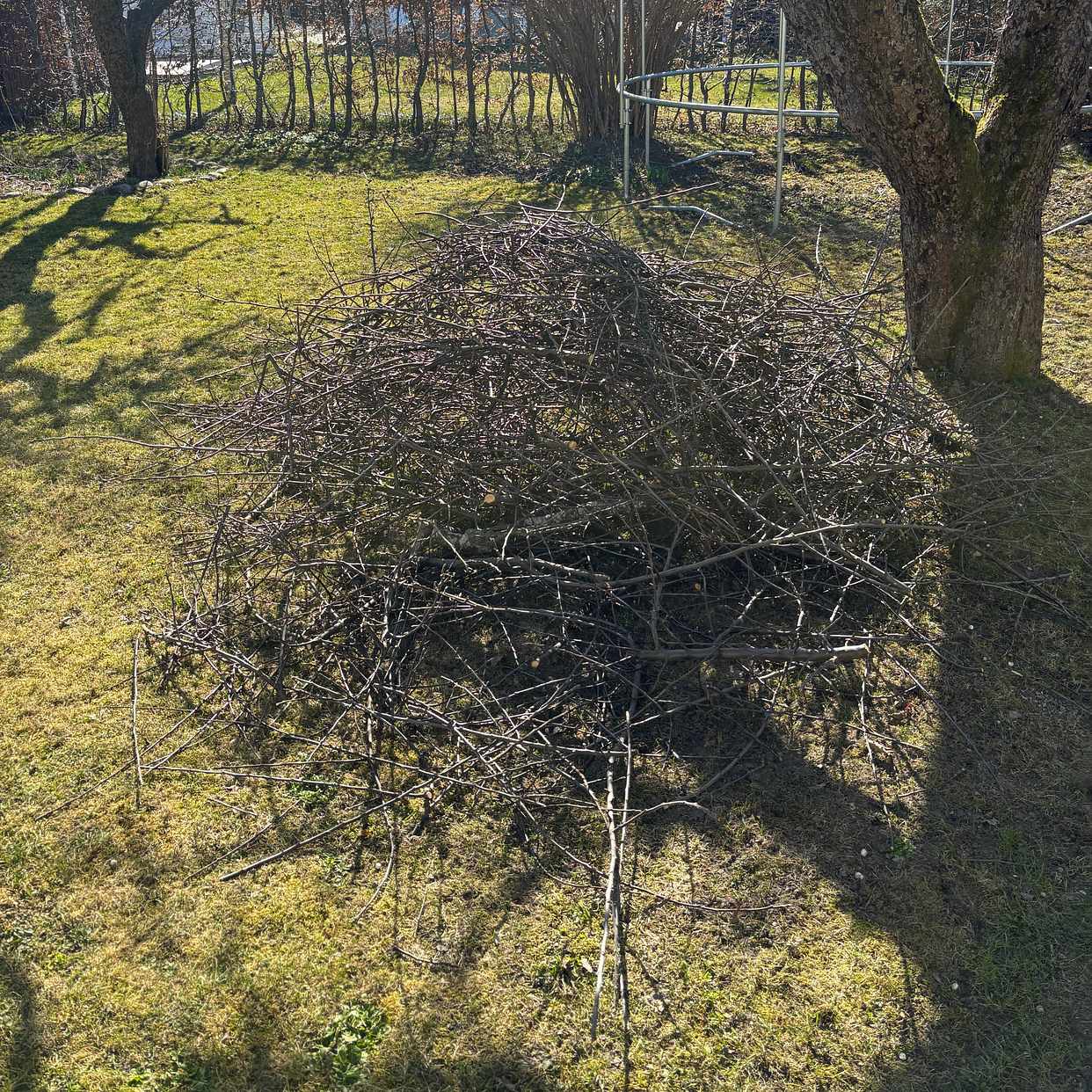 image of Ris efter trädbeskärning - Enskede