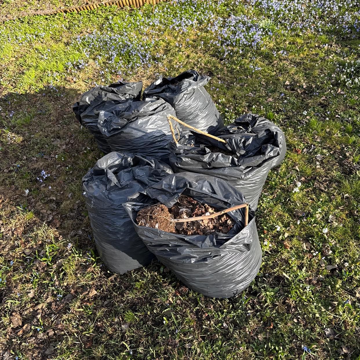 image of Trädgårdsavfall mm - Enskede