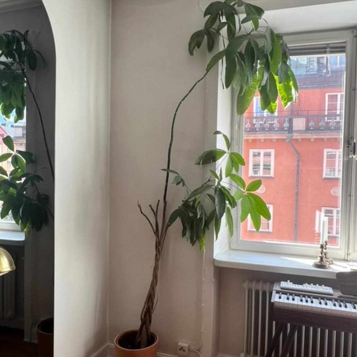 image of Flytthjälp på Södermalm - 