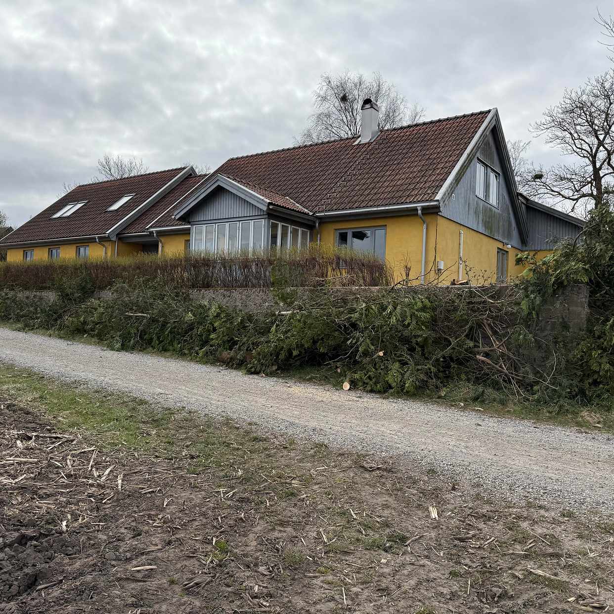 image of Bortforsling av träd - Hoby