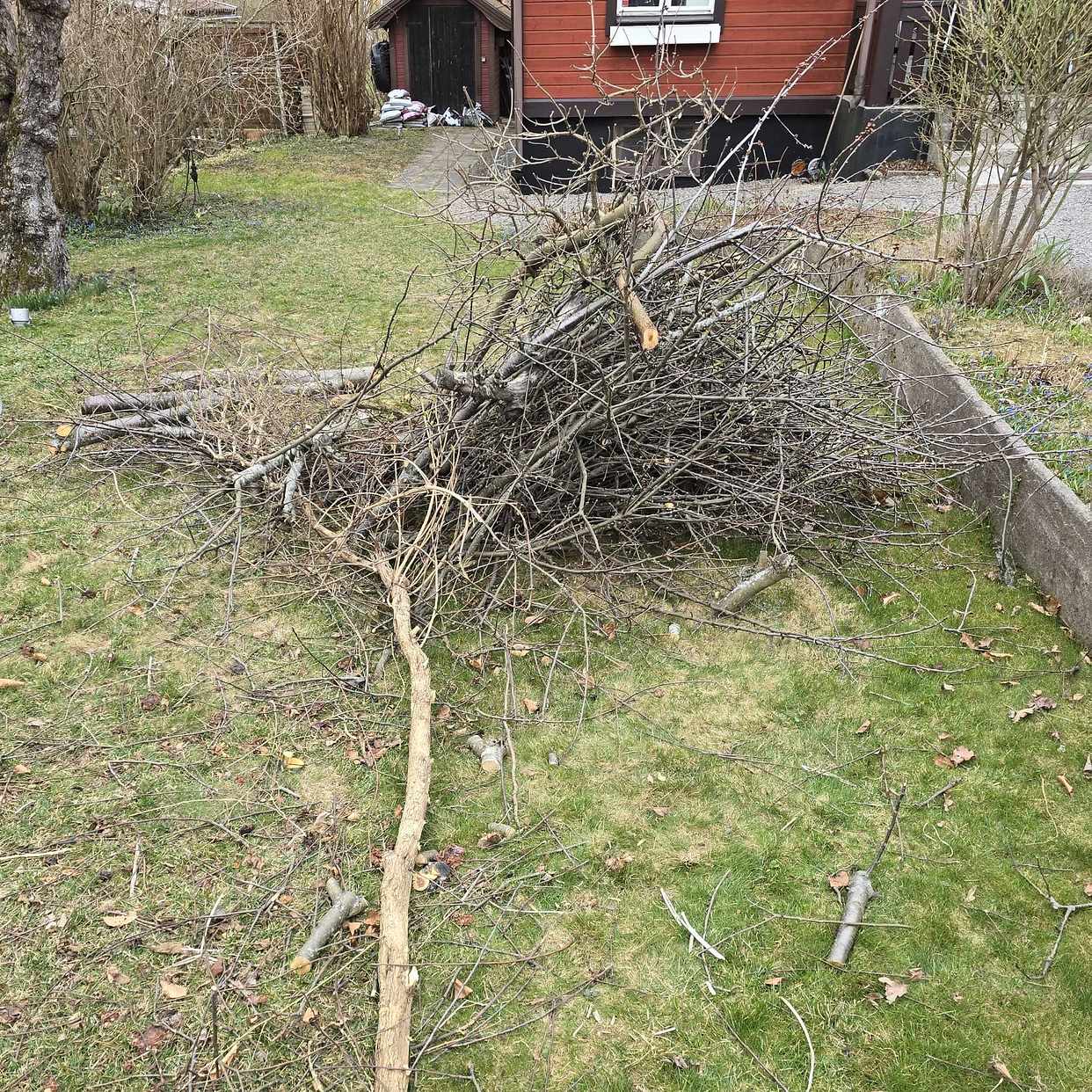 image of Grenar och kvistar - Älvsjö