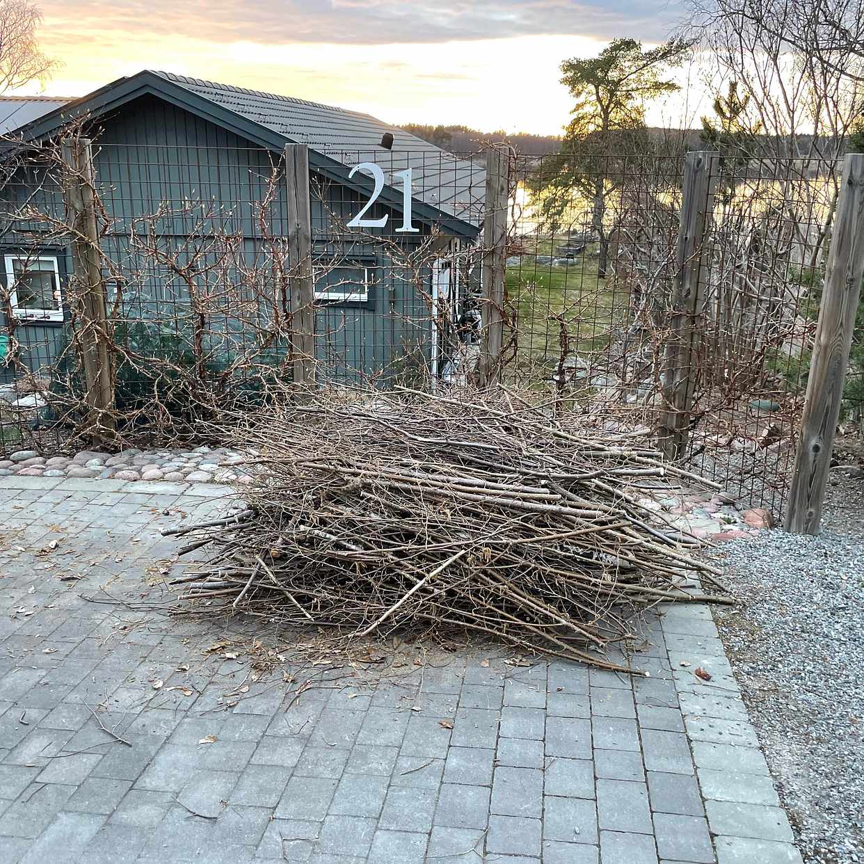 image of Ris från trädgården - Vallentuna