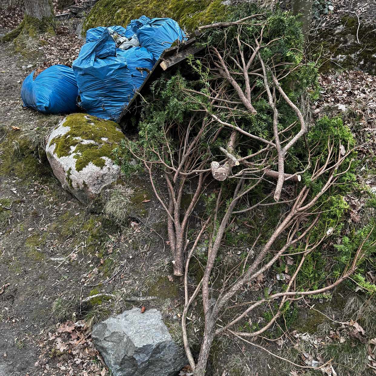 image of Trädgårdsavfall, trä, el - Hägersten