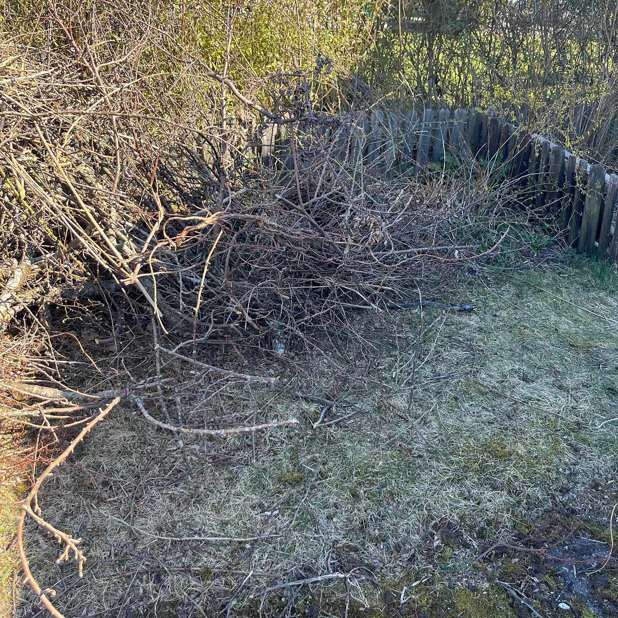 image of Trä till tippen - Lidingö