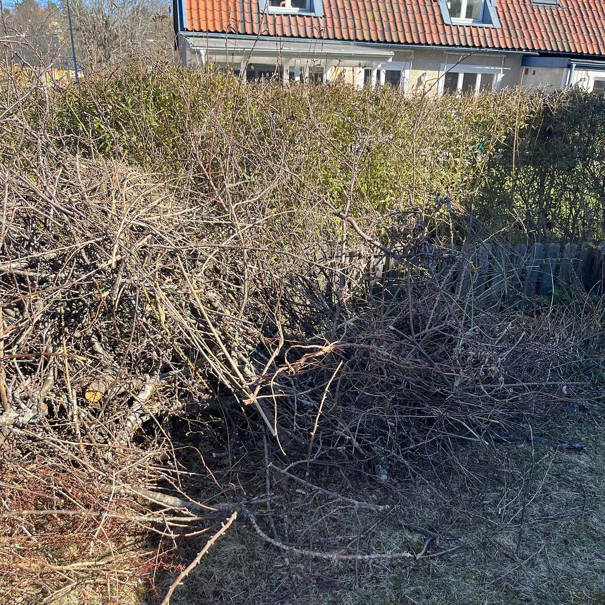 image of Trä till tippen - Lidingö